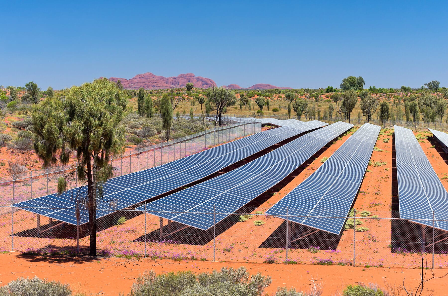 Solar panels in the Australian desert