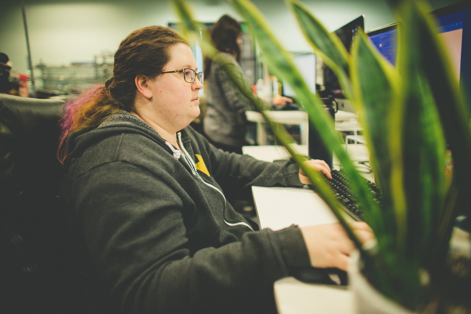 QualityLogic team member working at a computer behind a snake plant